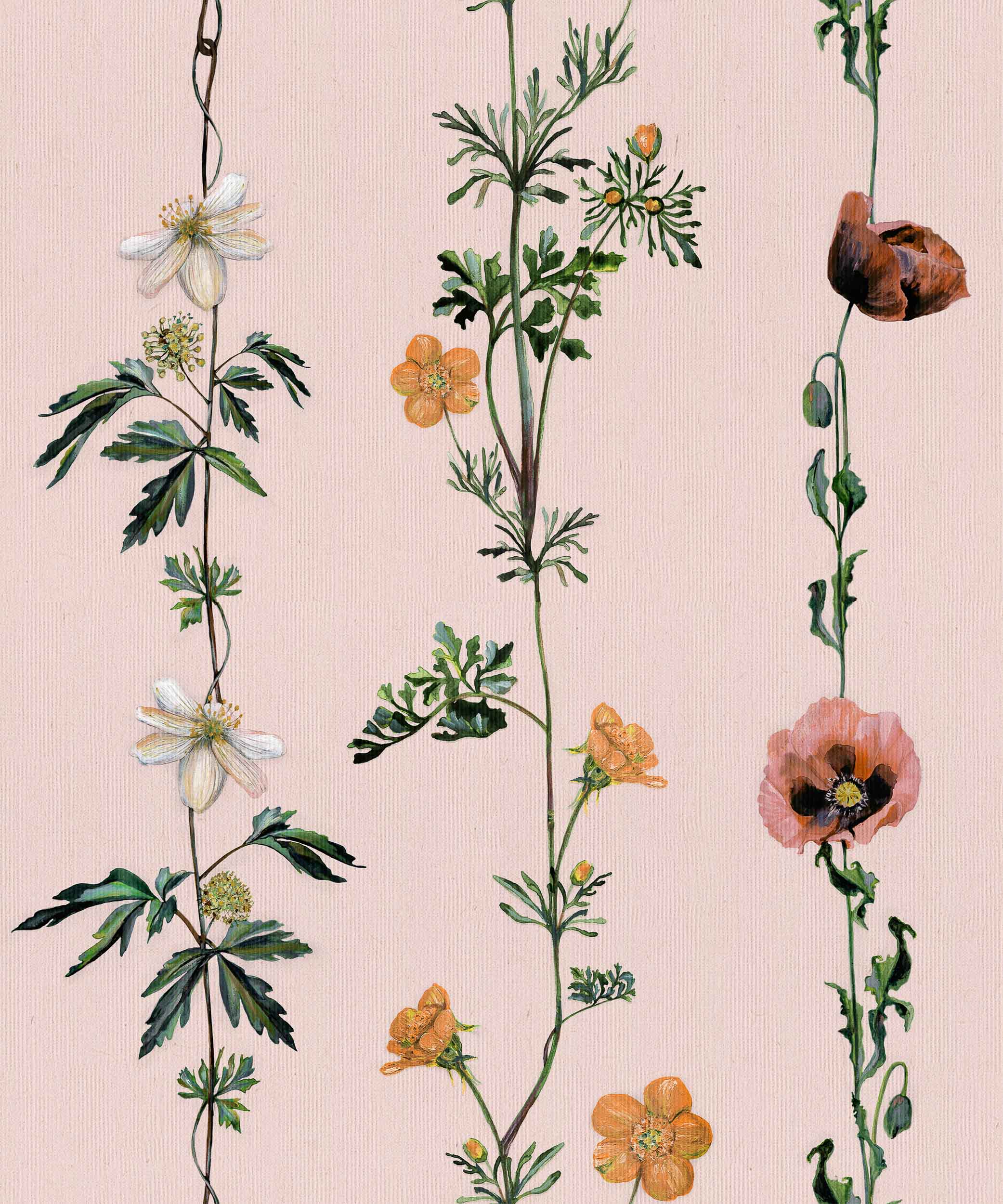 Climbing Flowers, Pink, Coordonne 5mp / rola